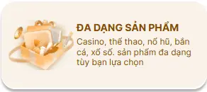 BNTC da dang san pham